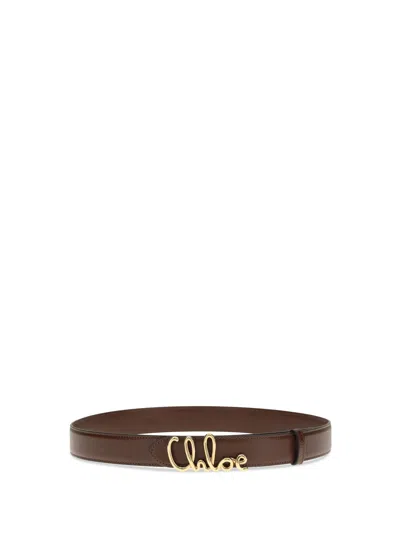 Chloé Womens Crafty Brown Logo-plaque Leather Belt In Brown