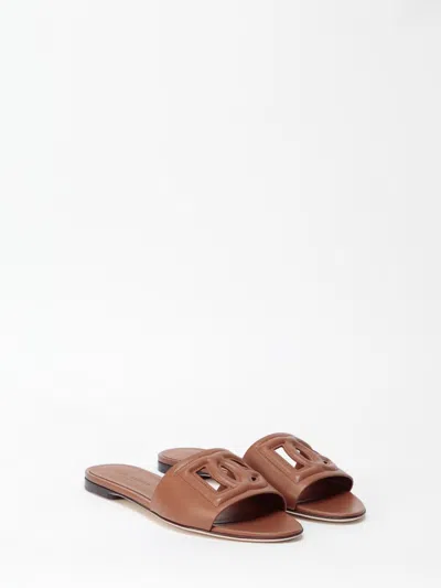 Dolce & Gabbana Women Calfskin Sliders With `dg` Logo In Brown