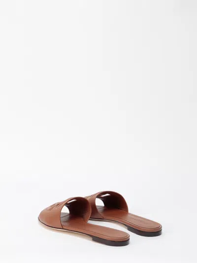 Dolce & Gabbana Women Calfskin Sliders With `dg` Logo In Brown