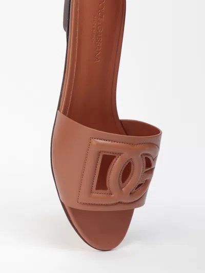 Dolce & Gabbana Women Calfskin Sliders With `dg` Logo In Brown