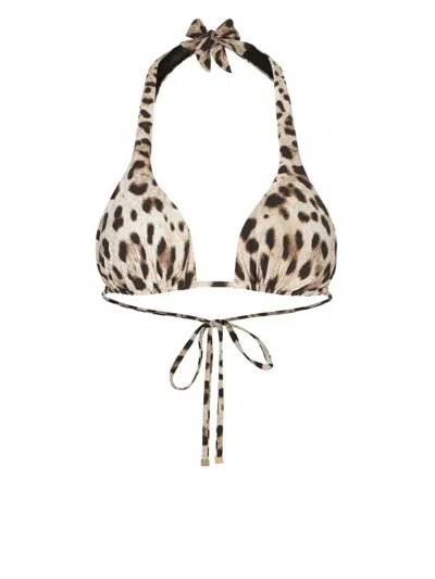 Dolce & Gabbana Leopard Print Halterneck Bikini Top In Brown