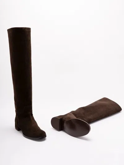 Dolce & Gabbana Women Suede Boots In Brown