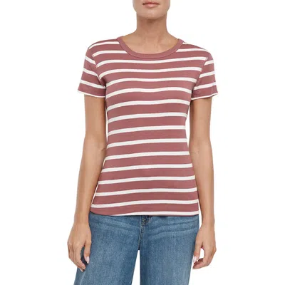 Three Dots Cotton Crewneck T-shirt In Multi