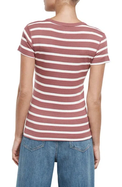 Three Dots Cotton Crewneck T-shirt In Multi