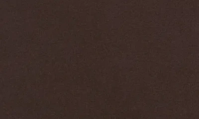 Allsaints Tour Talon Logo Graphic Hoodie In Brown