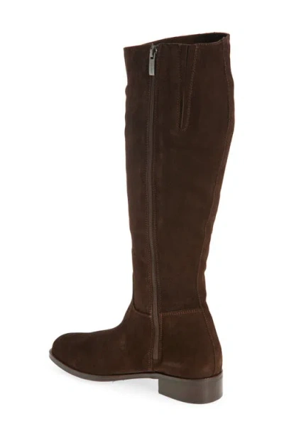 La Canadienne Segal Waterproof Tall Boot In Brown