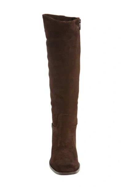 La Canadienne Segal Waterproof Tall Boot In Brown
