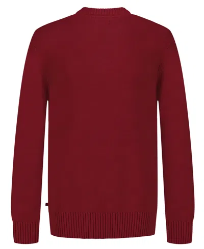 Nautica Boys' 8-20 J Class Solid Crew Sweater In Red