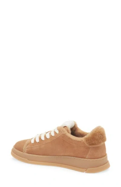 Stuart Weitzman Ellis Genuine Shearling Lined Sneaker In Brown