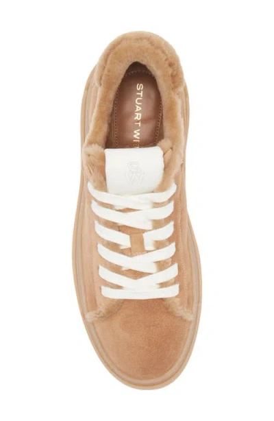 Stuart Weitzman Ellis Genuine Shearling Lined Sneaker In Brown