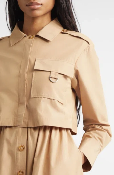 Derek Lam 10 Crosby Janine Long Sleeve Midi Trench Dress In Brown