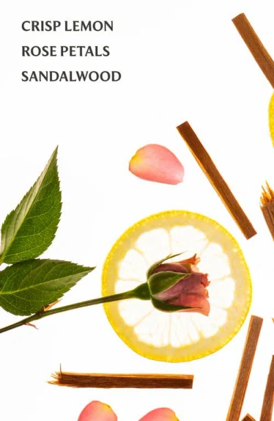 Touchland Power Mist Hydrating Hand Sanitizer In Transparent