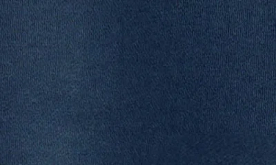 True Classic Fleece Crewneck Sweatshirt In Blue