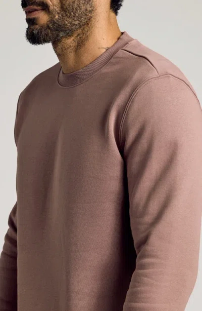 True Classic Fleece Crewneck Sweatshirt In Brown