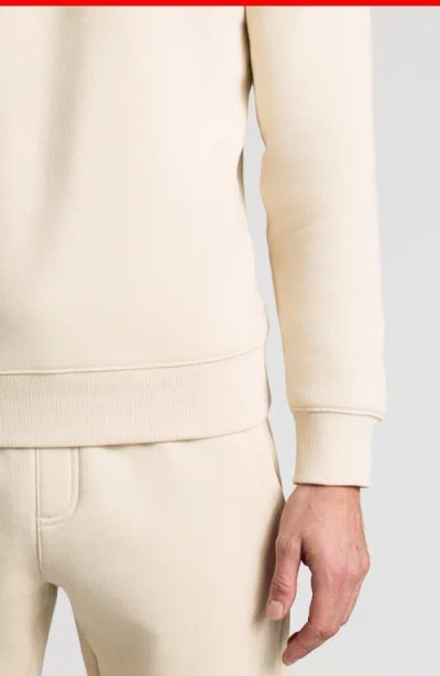 True Classic Fleece Crewneck Sweatshirt In Neutral