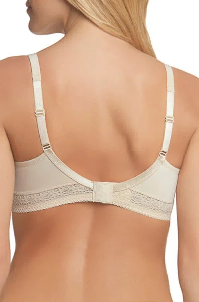 Dominique Intimates Tessa Full Figure Lace Support Bra In Brown