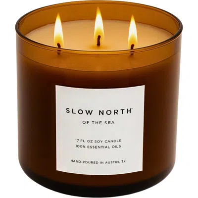 Slow North Eucalyptus + Lavender In Brown