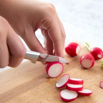 Radà 4 Piece Meal Prep Knife Set In Gift Box In Silver