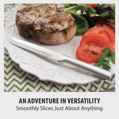 Radà Rada 4 Piece Steak Knives Set With Gift Box In Silver