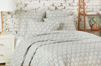 Carol & Frank Liam Sky Cotton Standard Sham 20" X 26" In Multi