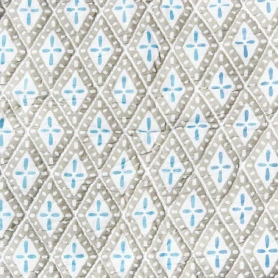 Carol & Frank Liam Sky Cotton Standard Sham 20" X 26" In Multi