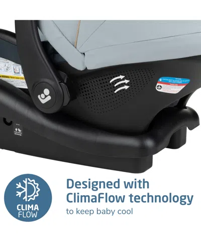 Maxi-cosi Baby Mico Pro Car Seat In Gold