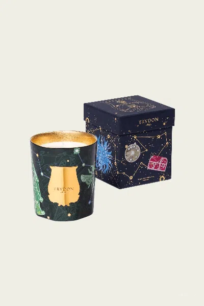 Trudon Fir Classique Candle 270g In Multi