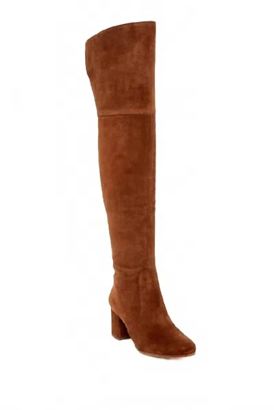 Via Spiga Women Finlay Chestnut Suede Leather Over The Knee Boots In Brown In Animal Print