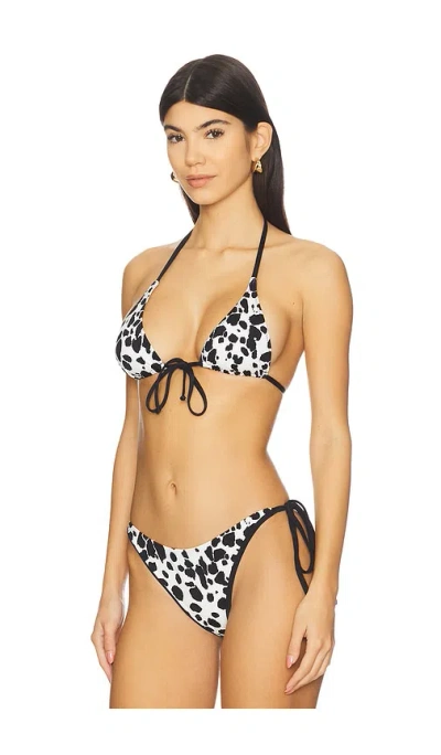 Frankies Bikinis Paradise Triangle Bikini Top In Multi