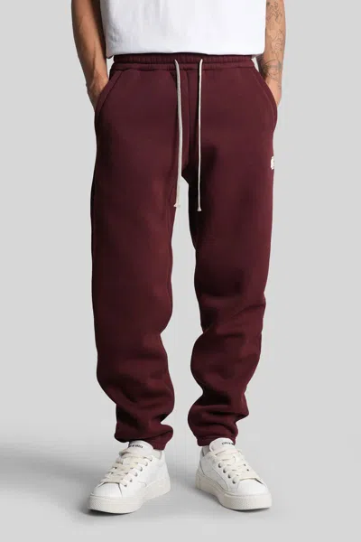 State Of Order Pants In Burgundy