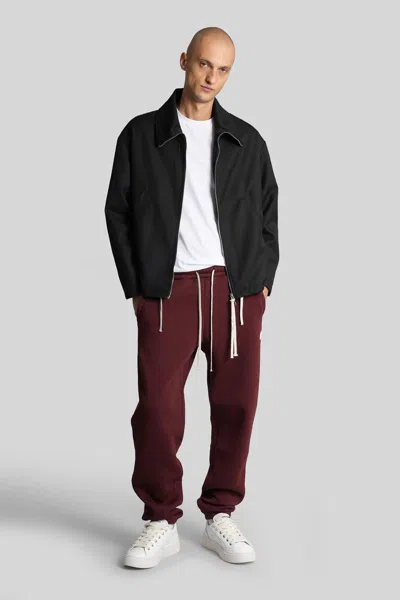 State Of Order Pants In Burgundy