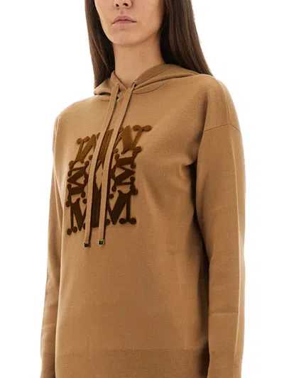 Max Mara Taddeus Hooded Sweater In Brown