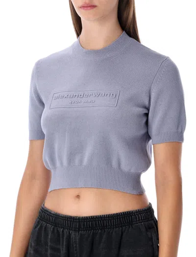 Alexander Wang Cropped Ribbed Chenille Sweater With Logo In Blue