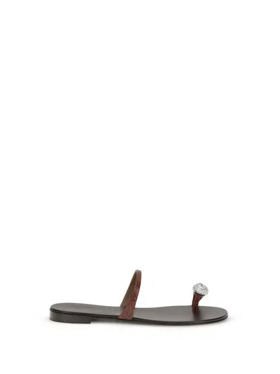 Giuseppe Zanotti Brown Calf Leather Bos Taurus Flat Sandals In Multi