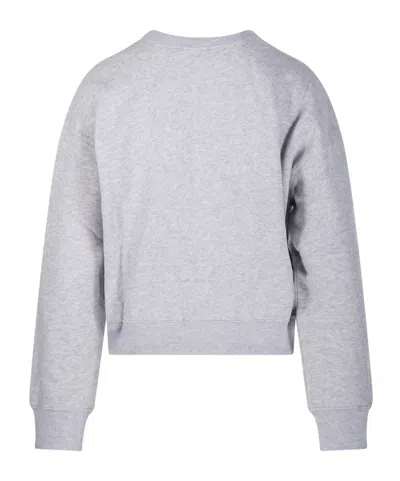 Polo Ralph Lauren Buttoned Sweatshirt In Gray
