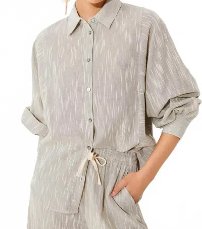 Suncoo Lady Striped Cotton Button-down Shirt In Noir In Gray