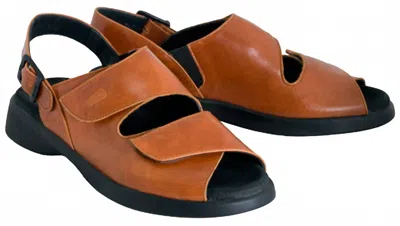 Wolky Women's Nimes Shoe In Brandy In Brown