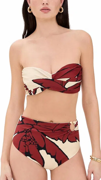 Johanna Ortiz Palms Sea Sprite Bikini Top In Ecru Red Black In Red