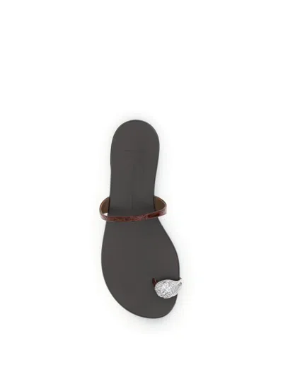 Giuseppe Zanotti Brown Calf Leather Bos Taurus Flat Sandals In Brown