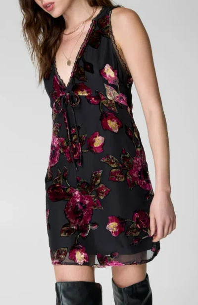 Nasty Gal Floral Devore Lace Trim Minidress In Black