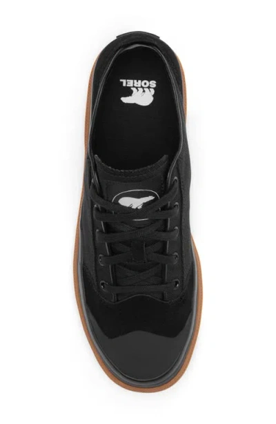 Sorel Scout N About™ Low Sneaker In Black