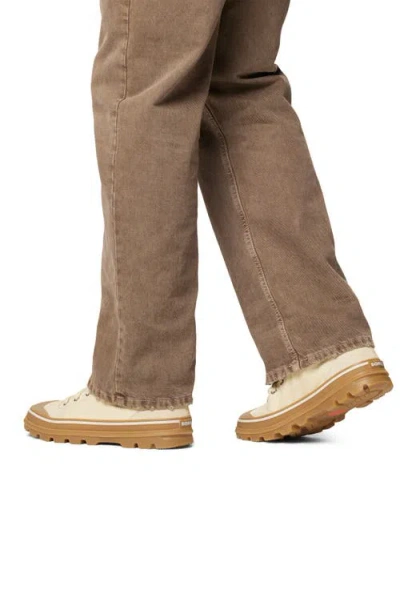 Sorel Scout N About™ Low Sneaker In Brown