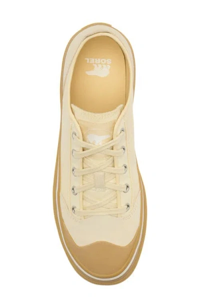 Sorel Scout N About™ Low Sneaker In Brown