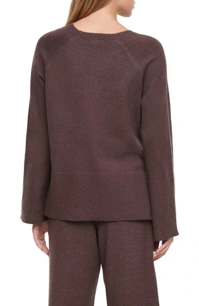 Three Dots Ally Raglan Sleeve Sweater In Brown