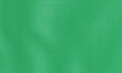 Baboon To The Moon Set Of 2 Monomesh Pouches In Green