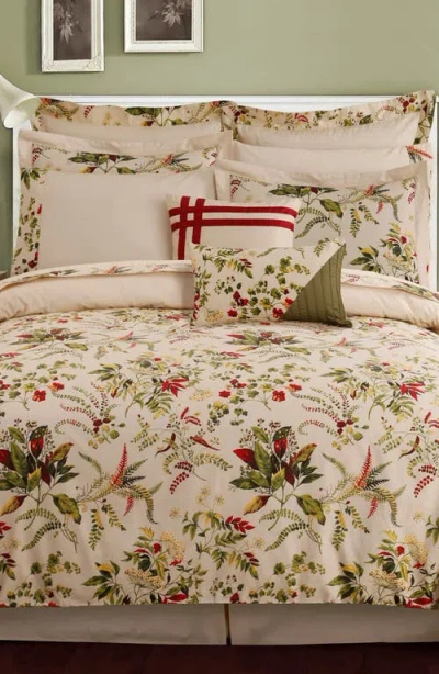 Azores Home Maui Comforter & Sheet Bed In A Bag Set In Brown