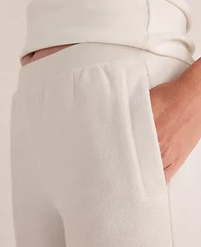 Ann Taylor Haven Well Within Brushed Terry Wide Leg Pants
