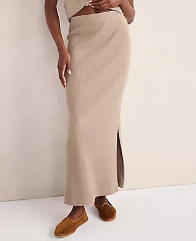 Ann Taylor Haven Well Within Ottoman Rib Pencil Skirt In Blue