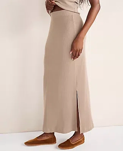 Ann Taylor Haven Well Within Ottoman Rib Pencil Skirt In Blue