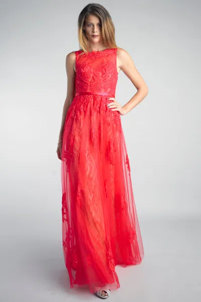 Basix Black Label Sleeveless Lace Embroidered Dress In Red